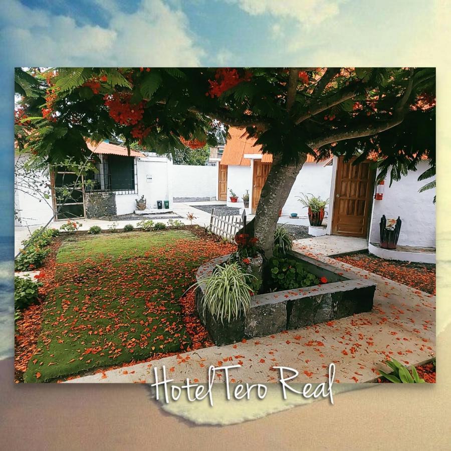 Hostal Tero Real 푸에르토빌라밀 외부 사진