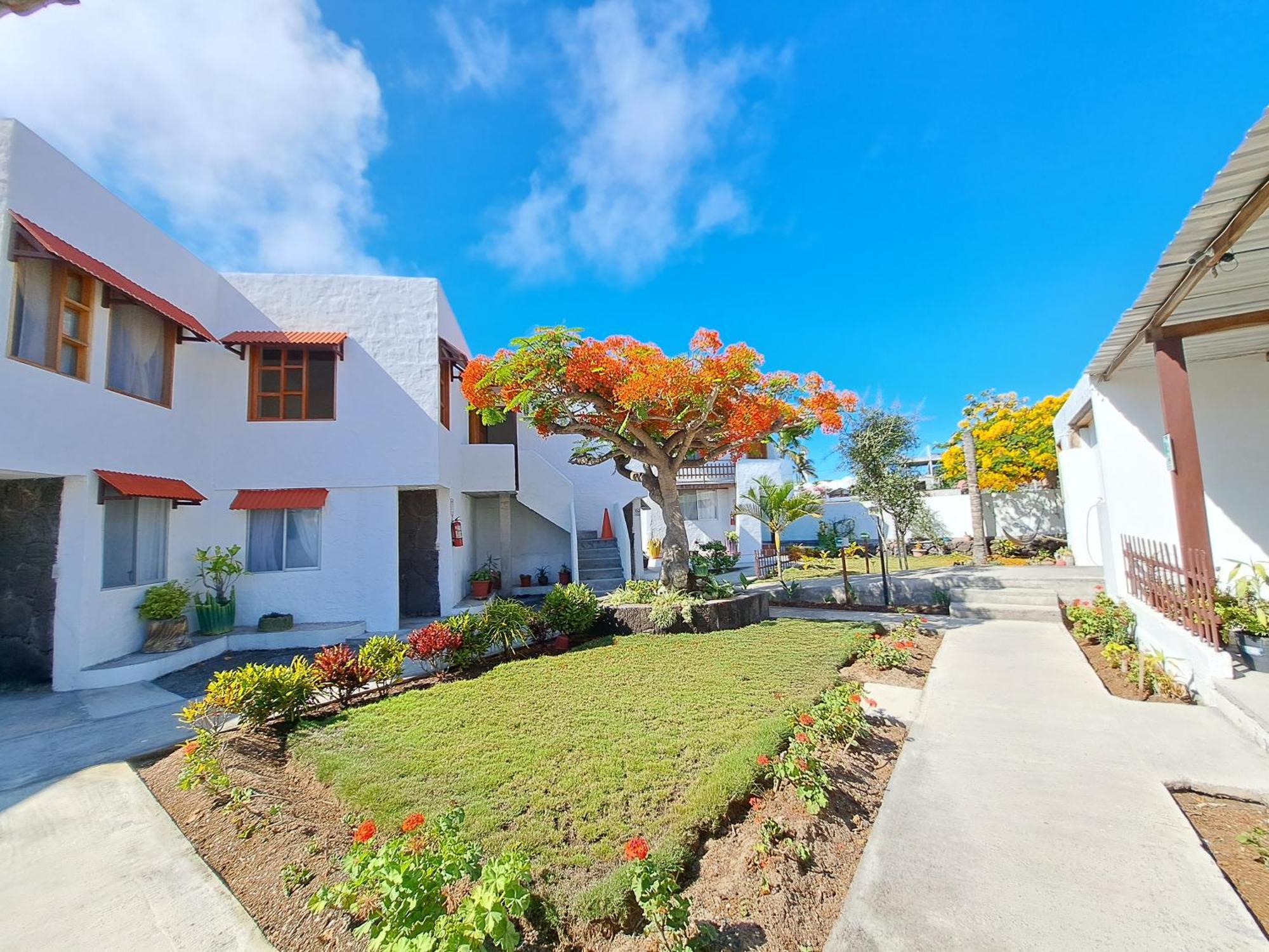 Hostal Tero Real 푸에르토빌라밀 외부 사진